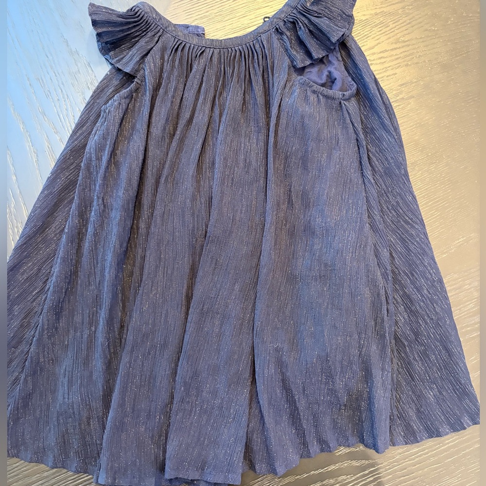 Gap Navy Shimmer Ruffle Dress
